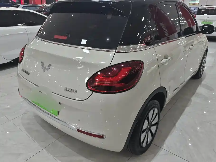 Wuling Bingo 2024
