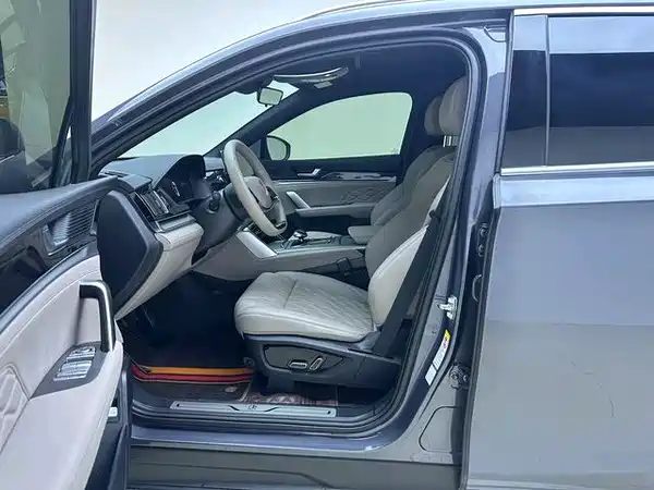BYD Tang New Energy 2025