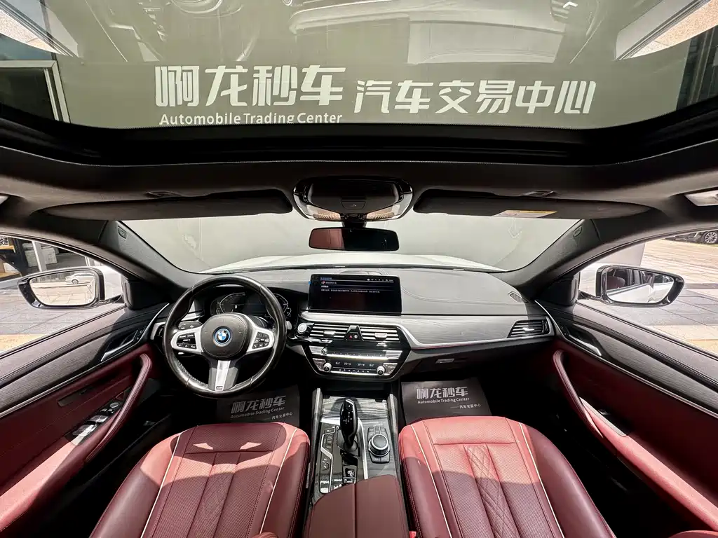 BMW 5 Series New Energy 2022