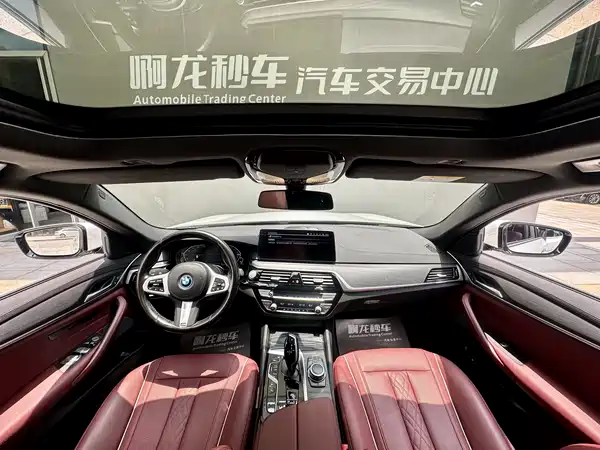 BMW 5 Series New Energy 2022