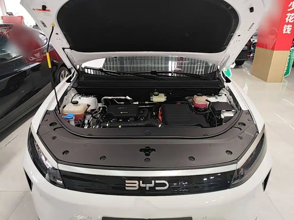 BYD Sealion 05 DM-i 2025 — фото 20