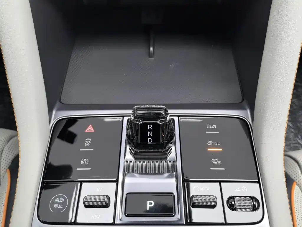 BYD Song PLUS New Energy 2024 — фото 13