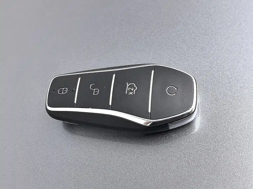 BYD Song PLUS New Energy 2024 — фото 19