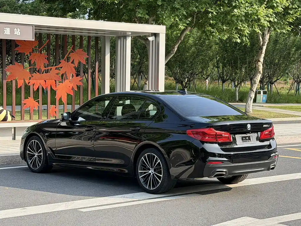 BMW 5 Series 2019 — фото 8