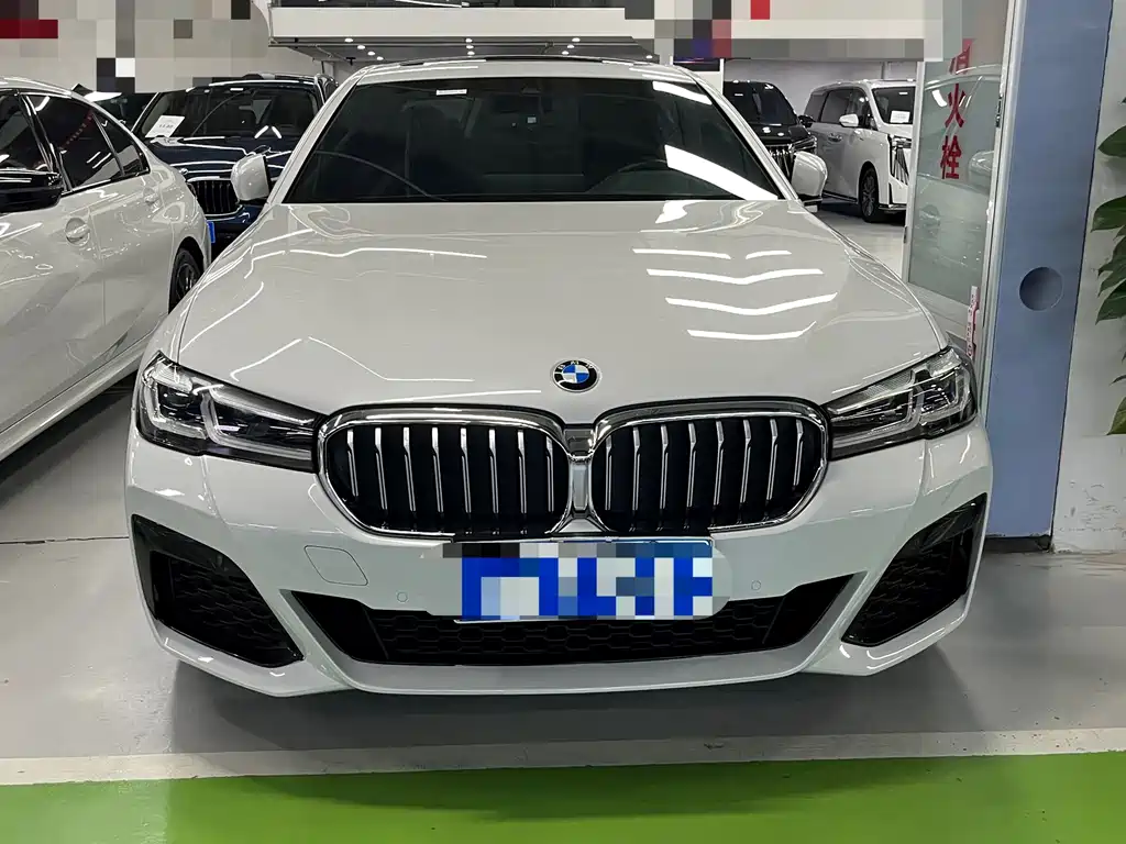 BMW 5 Series 2021