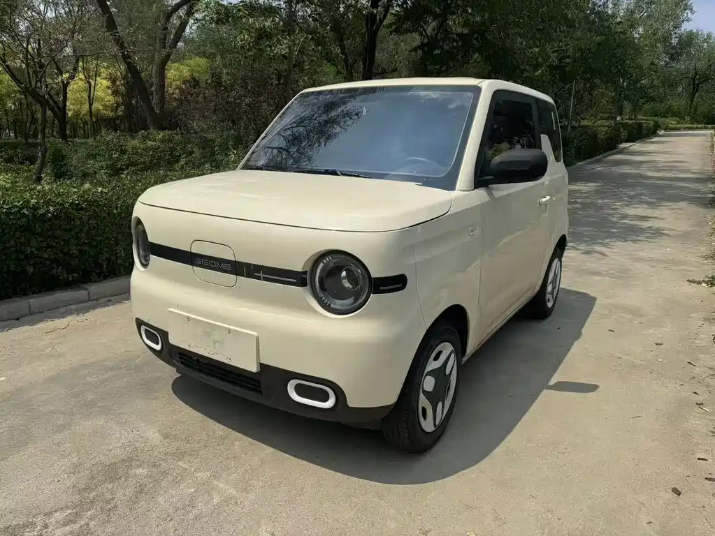 Geely Galaxy Panda 2025 — фото 1