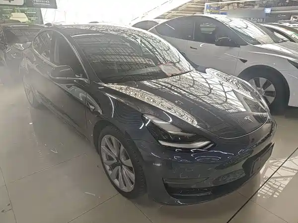 Tesla Model 3 2019