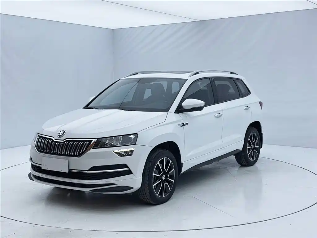 Skoda Karoq 2024 — фото 1
