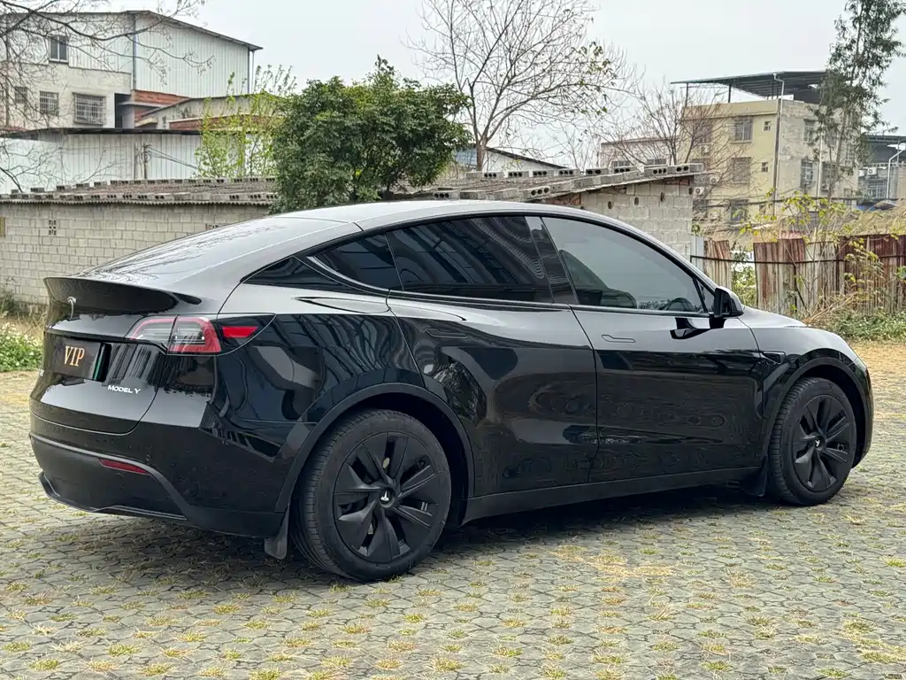 Tesla Model Y 2023 — фото 4