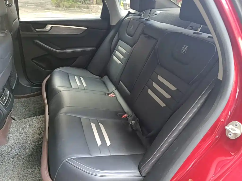 BYD Qin Pro NEV 2019 — фото 17