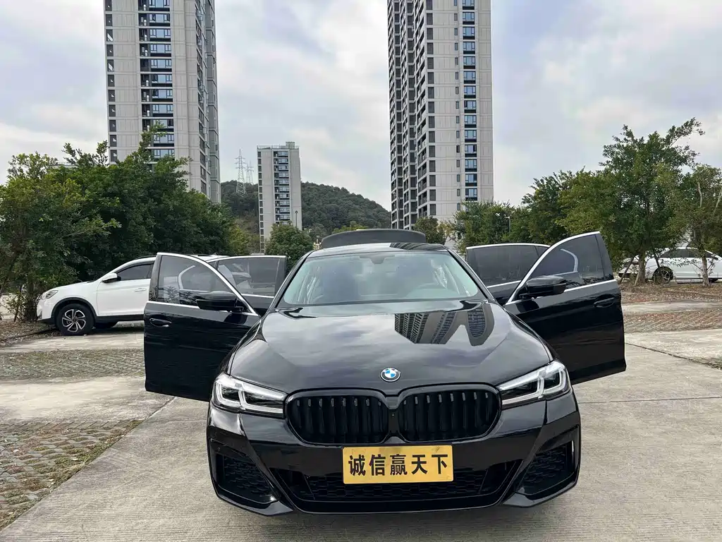 BMW 5 Series 2019