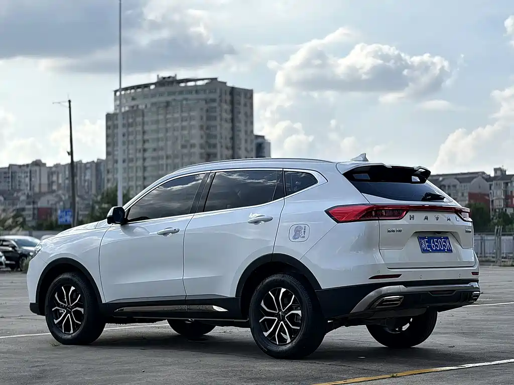 Haval H6 2023 — фото 8