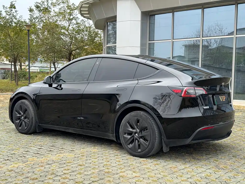 Tesla Model Y 2023 — фото 6