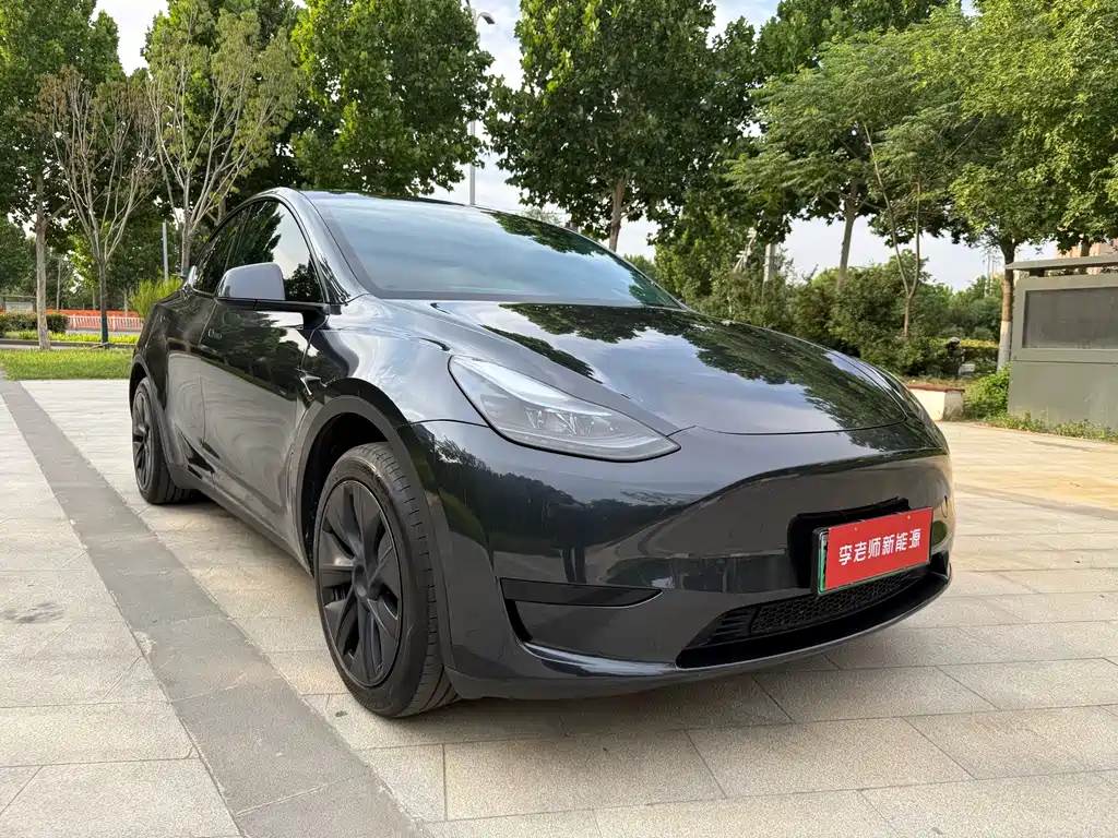 Tesla Model Y 2024 — фото 3