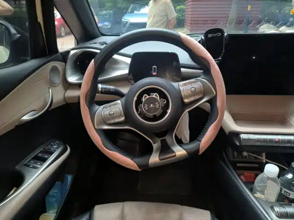BYD Dolphin 2024
