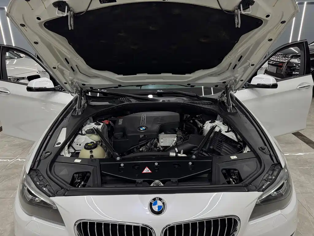 BMW 5 Series 2016 — фото 18