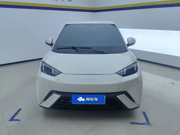 BYD Seagull 2024