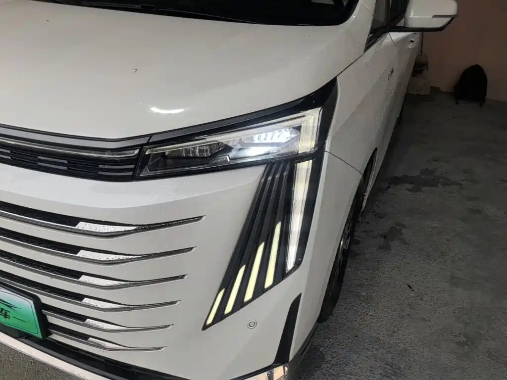 GAC Motor Trumpchi E9 2023 — фото 24