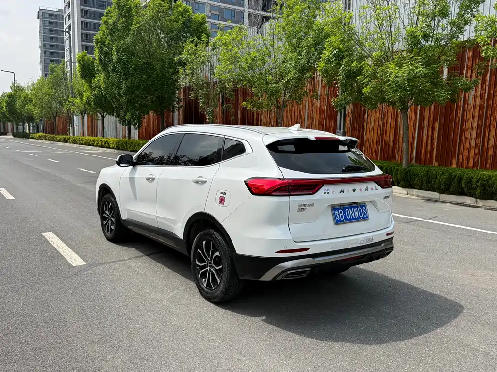 Haval H6 2021 — фото 13