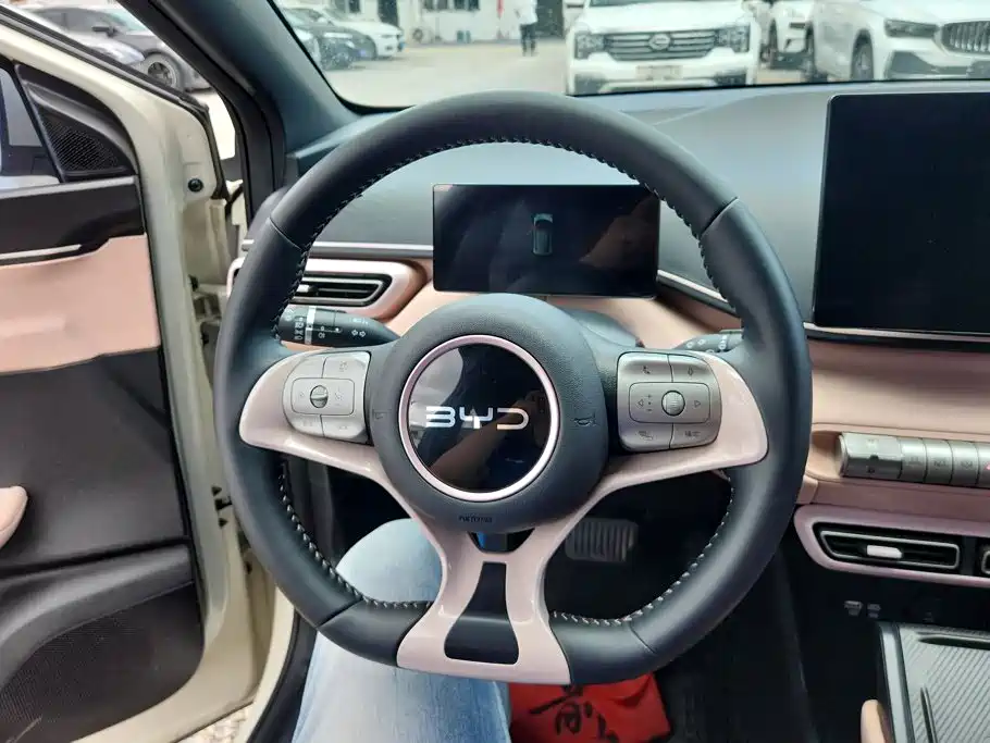 BYD Seagull 2024 — фото 15