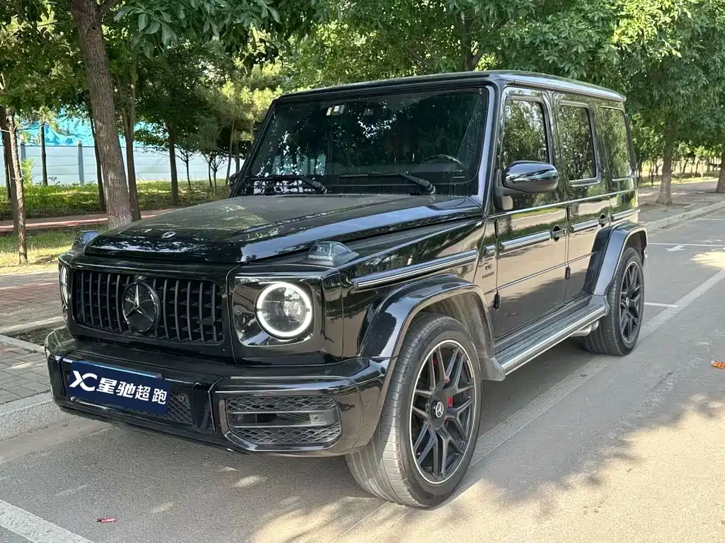 Mercedes-Benz G-Class 2019 — фото 6