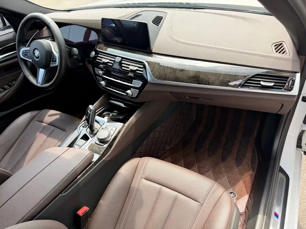 BMW 5 Series 2019 — фото 18