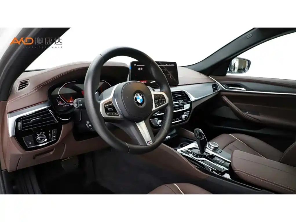 BMW 5 Series 2022