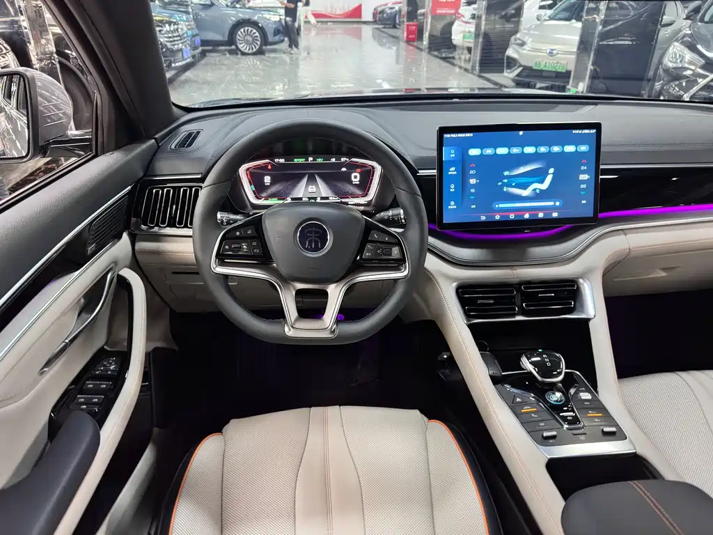 BYD Song PLUS New Energy 2021 — фото 13