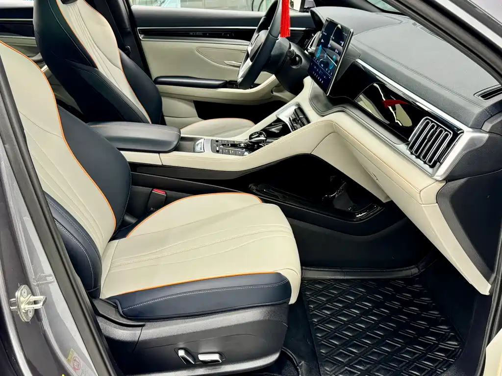 BYD PLUS New Energy 2023 — фото 18