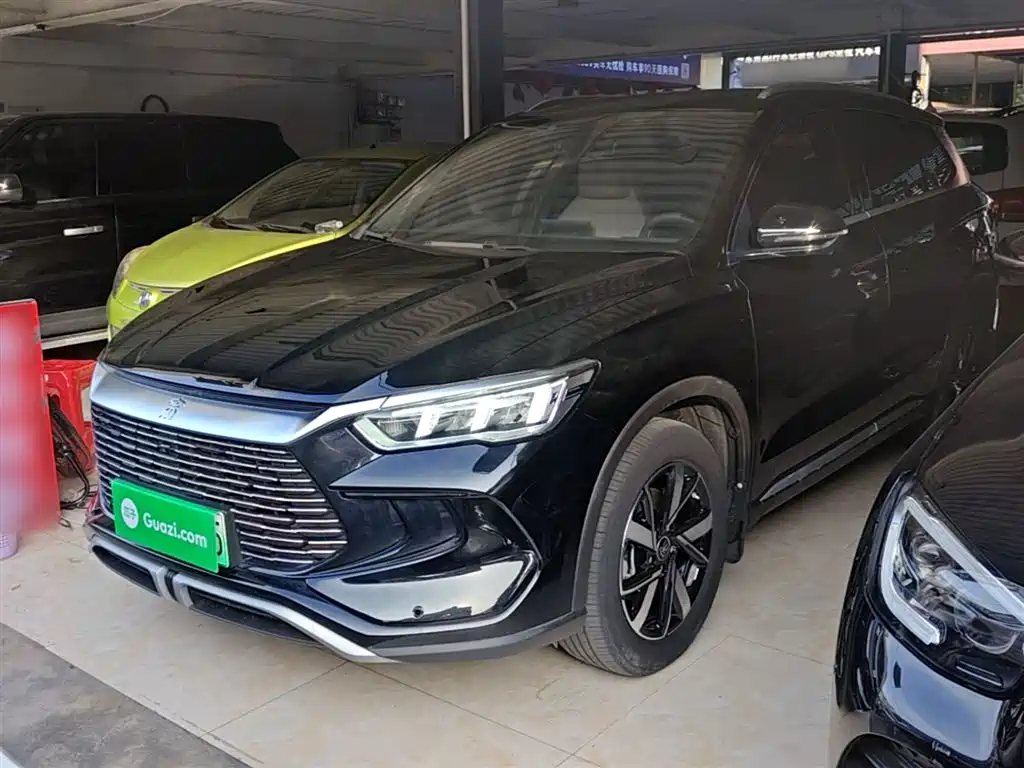 BYD Pro New Energy 2024 — фото 2