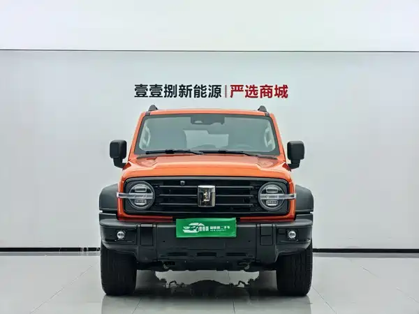 Tank 300 New Energy 2025