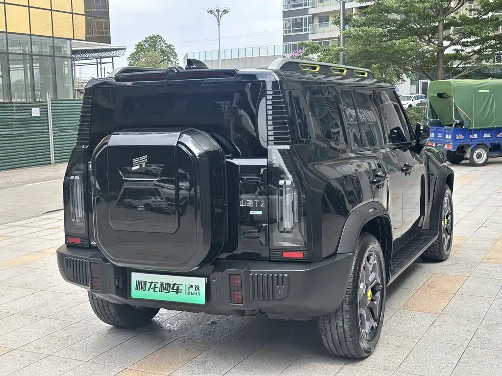 Shanhai Traveller C-DM 2025 — фото 21