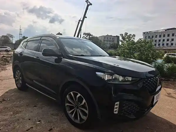 Wey VV6 2019
