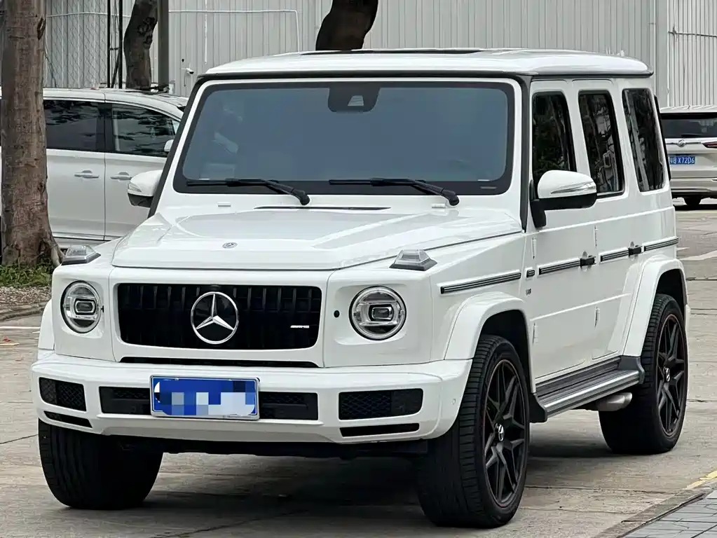 Mercedes-Benz G-Class 2019 — фото 1