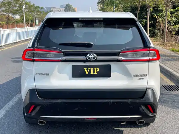 Toyota Wildlander 2022