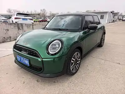MINI MINI 2025