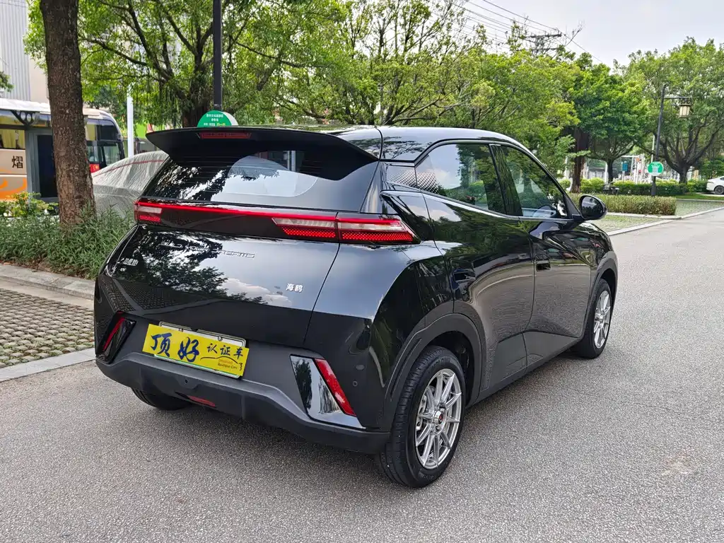 BYD Seagull 2024