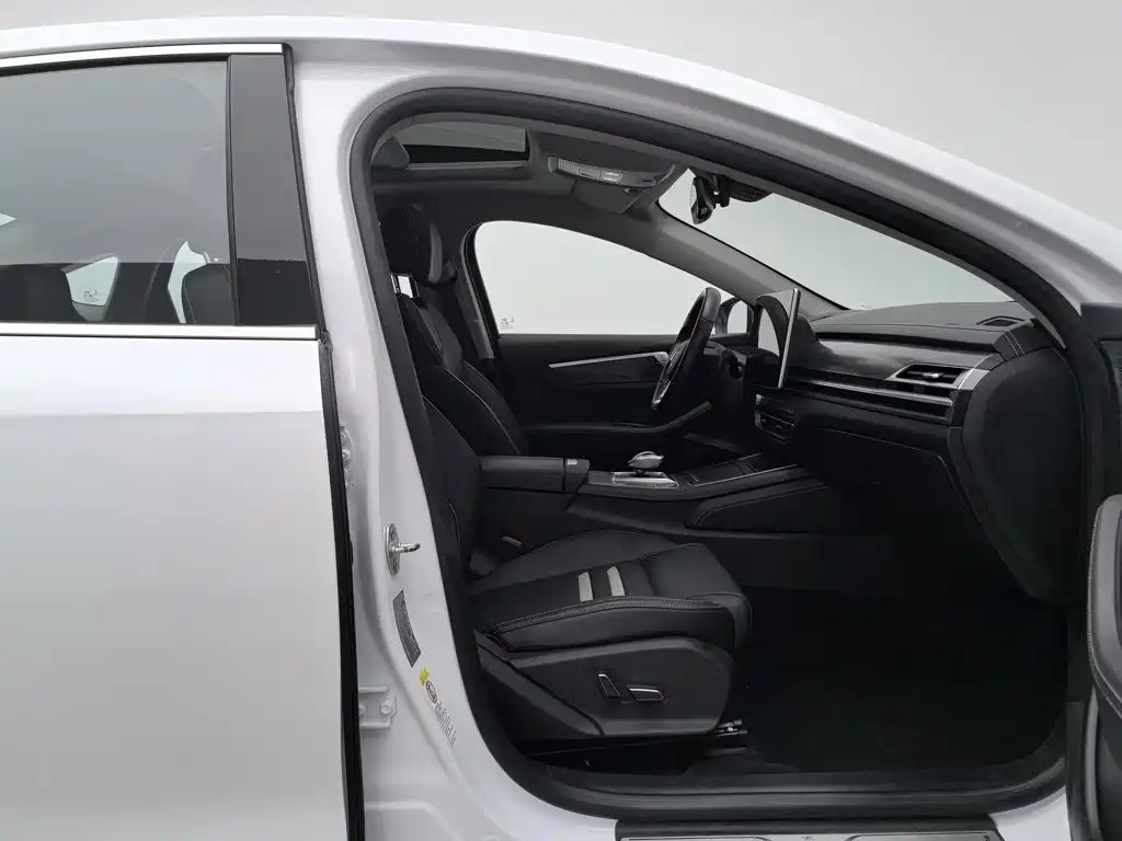 BYD Qin Pro New Energy 2019 — фото 23