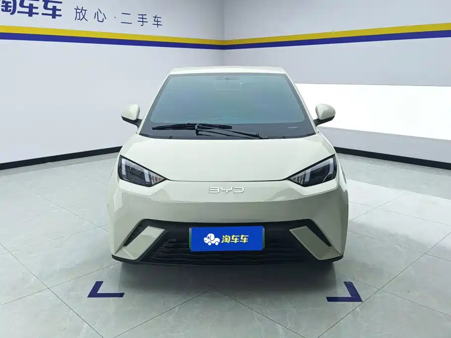 BYD Seagull 2024