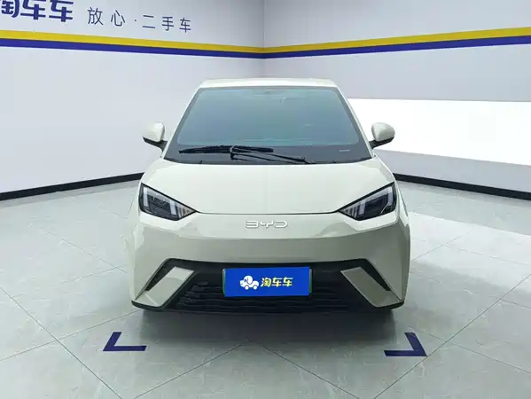 BYD Seagull 2024