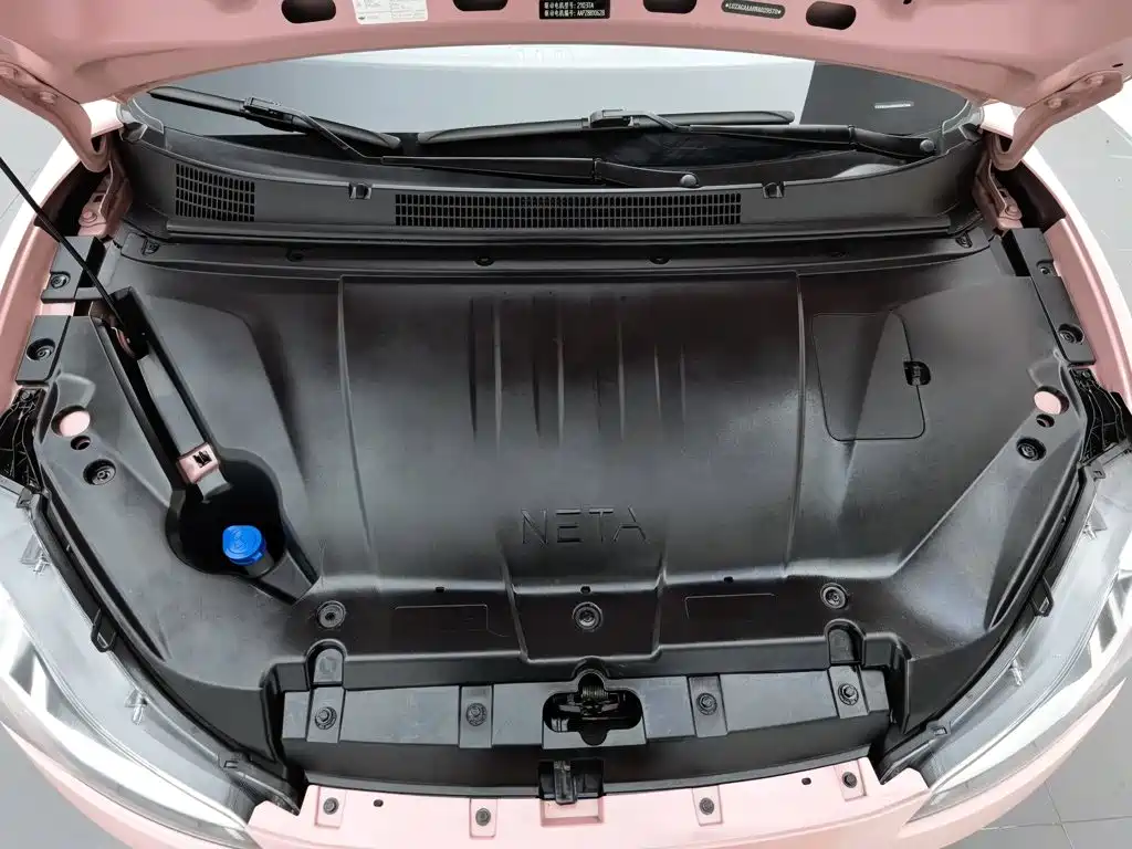 Neta V 2022