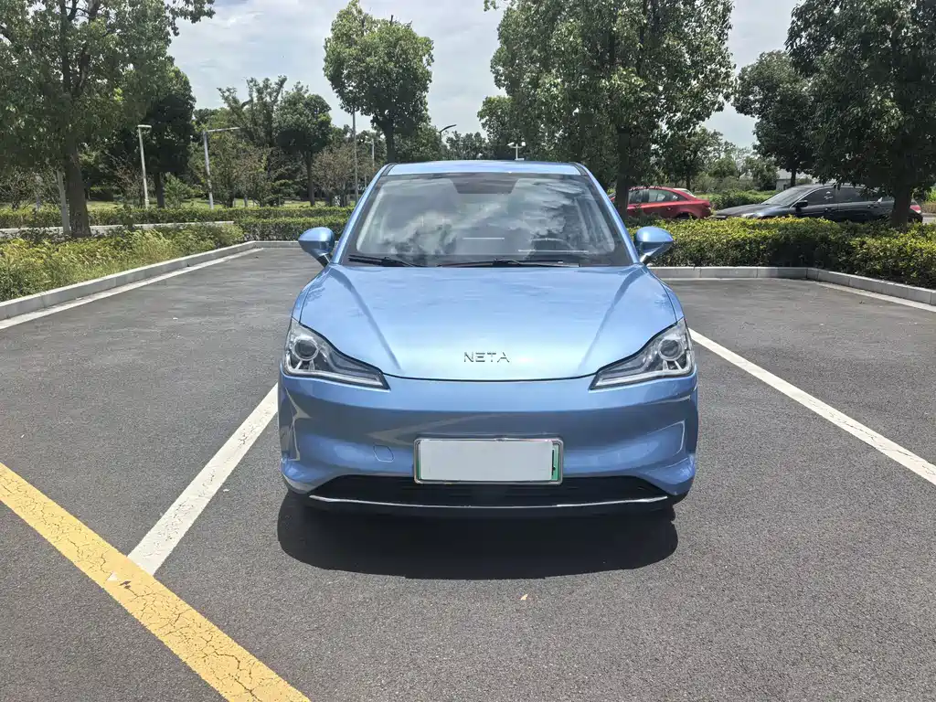 Neta V 2024