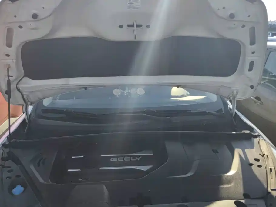 Geely Emgrand GS 2019 — фото 10