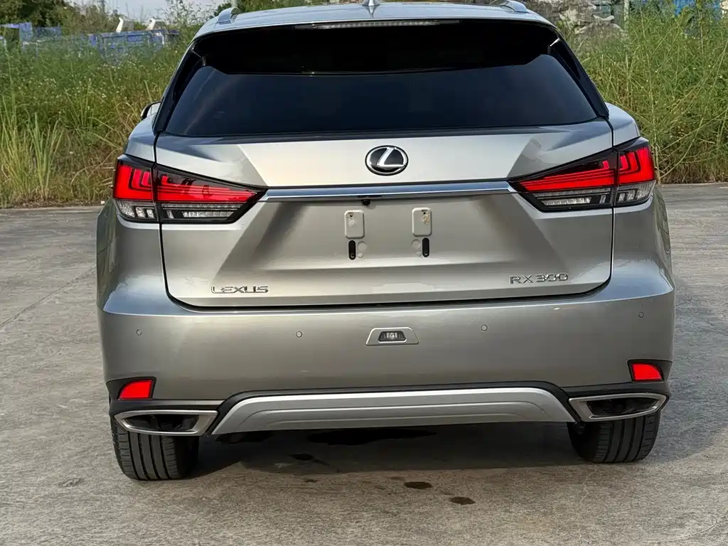 Lexus RX 2021 — фото 13