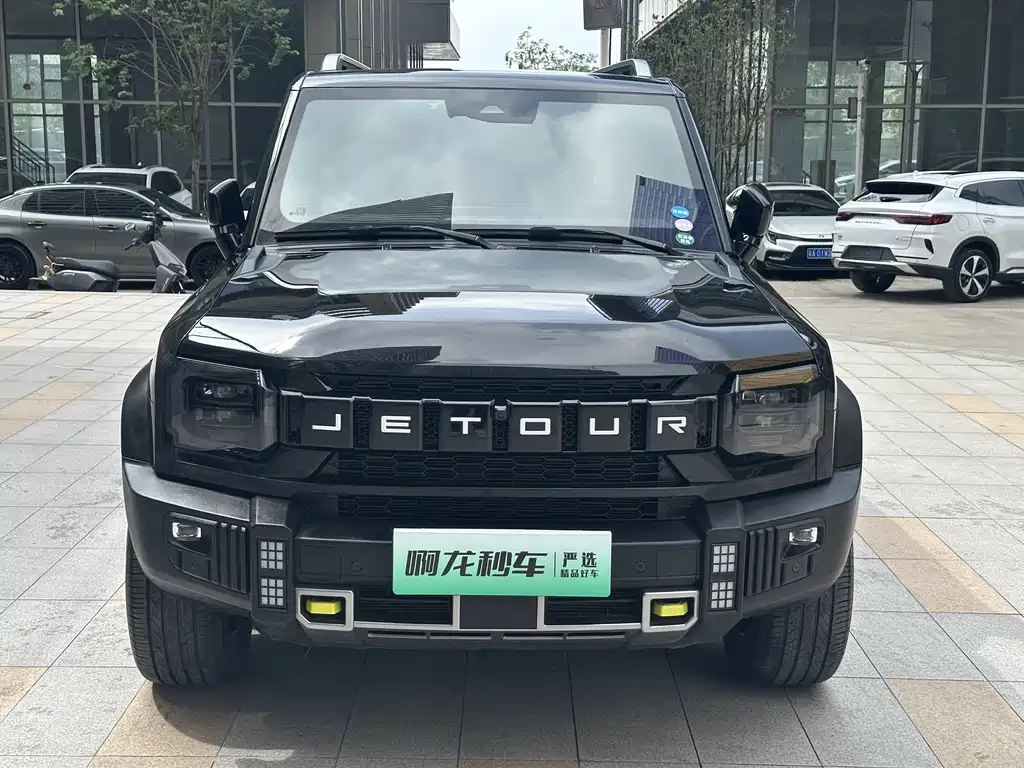 Shanhai Traveller C-DM 2025 — фото 3