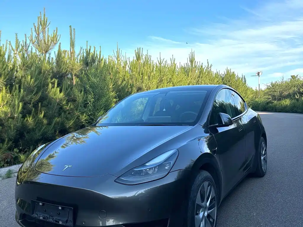 Tesla Model Y 2022 — фото 1