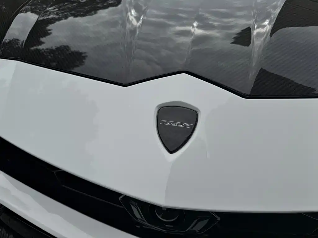Lamborghini Urus 2021 — фото 12