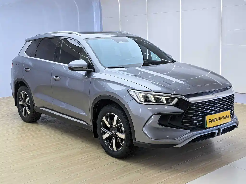 BYD Pro New Energy 2024 — фото 2