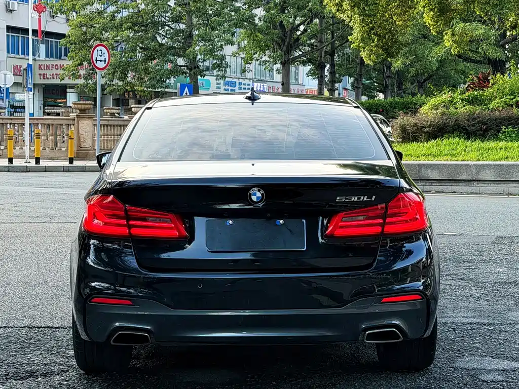 BMW 5 Series 2019