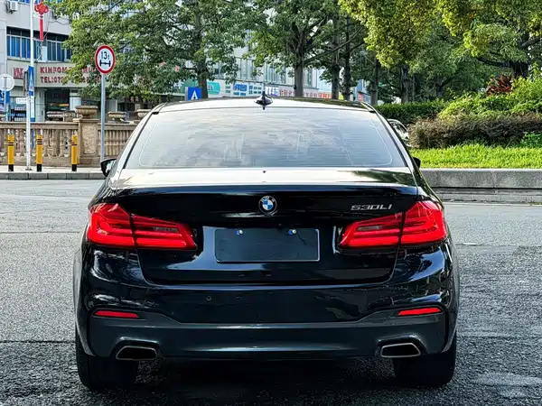 BMW 5 Series 2019